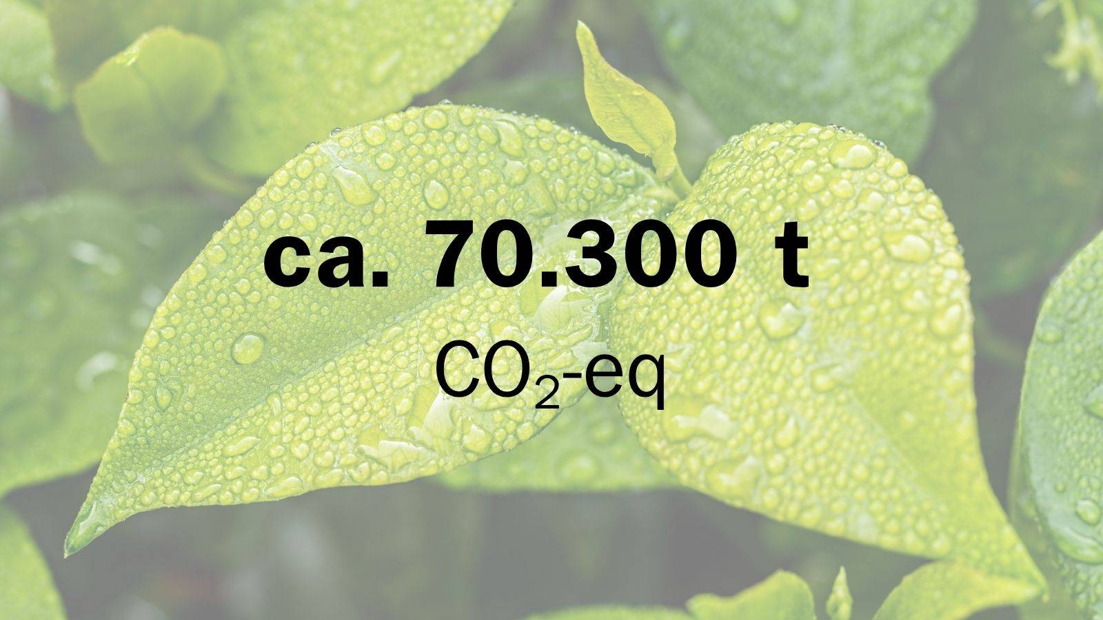 CO2 Einsparung unserer Projekte 16.030,84 t CO2-eq