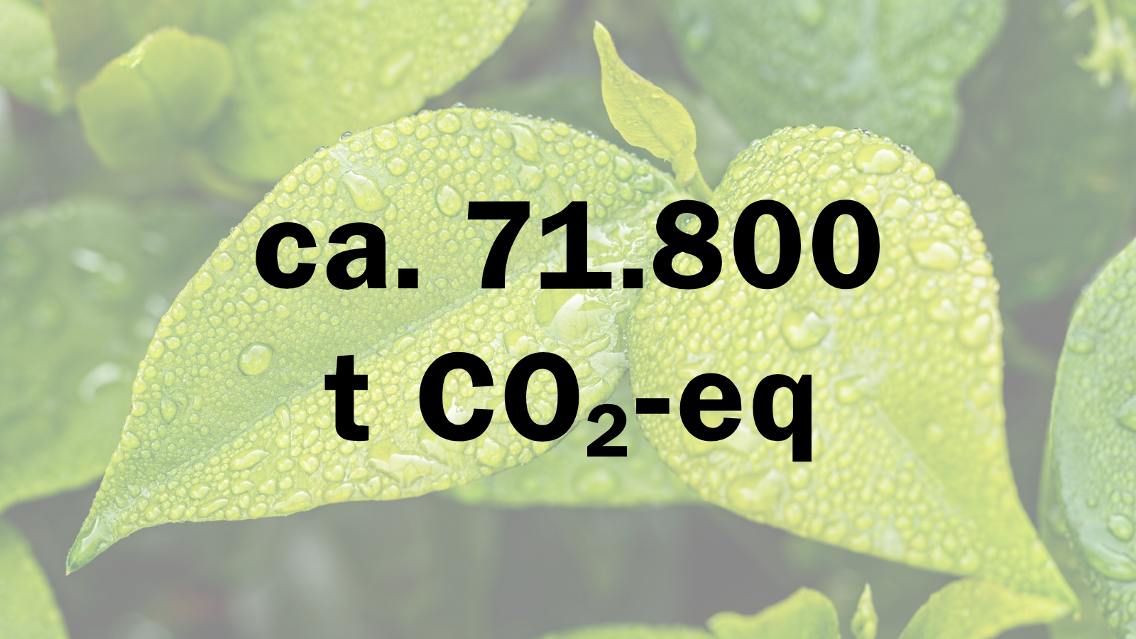 CO2 Einsparung unserer Projekte 16.030,84 t CO2-eq